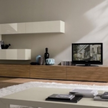 Modern-livingroom3